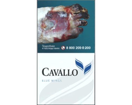 Cavallo Black Wings