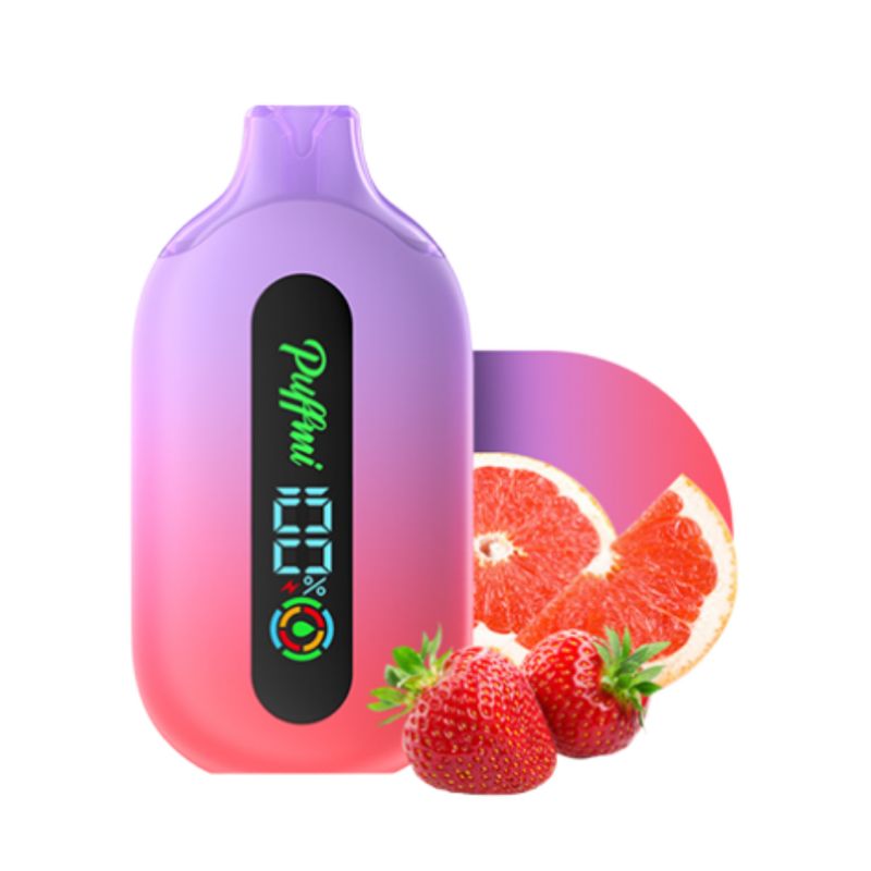 PUFFMI Pure 12000