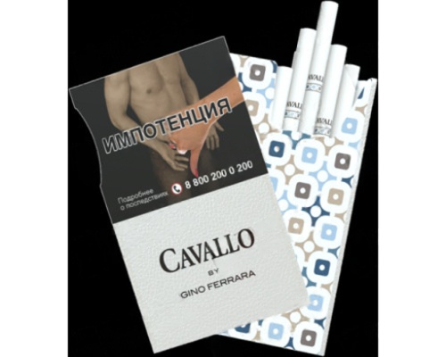 Cavallo by Gino Ferrara