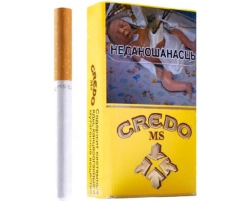 Credo MS