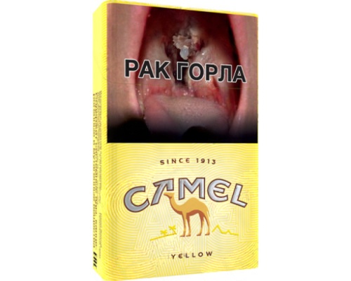 Camel Yellow