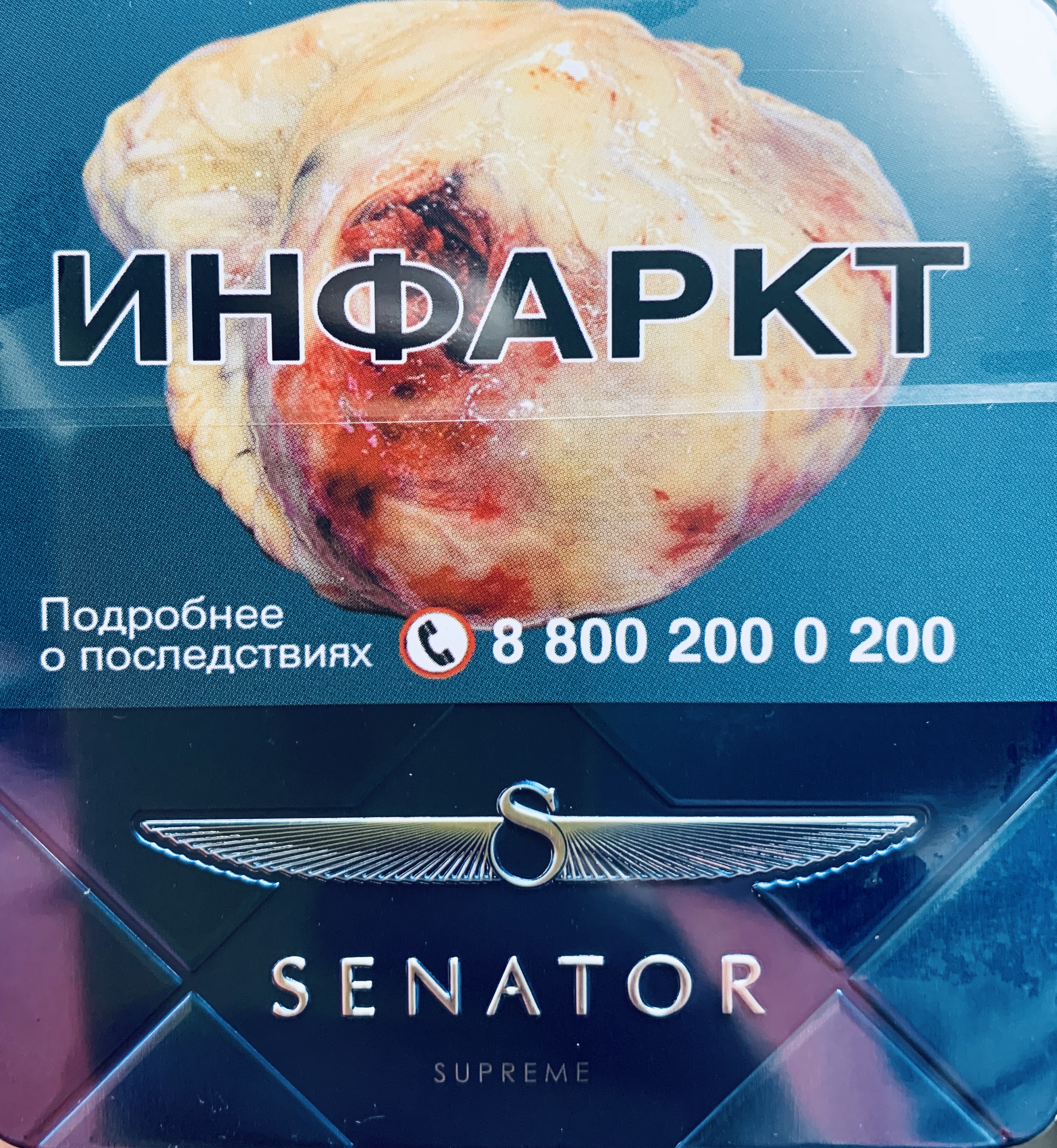 Senator