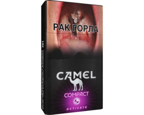 Camel Compact Activate Purple