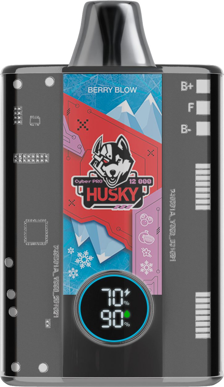 Husky cyber pro Berry Blow Черника / гранат / ваниль / лёд