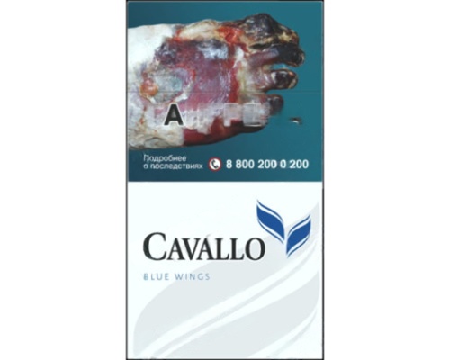 Cavallo Blue Wings